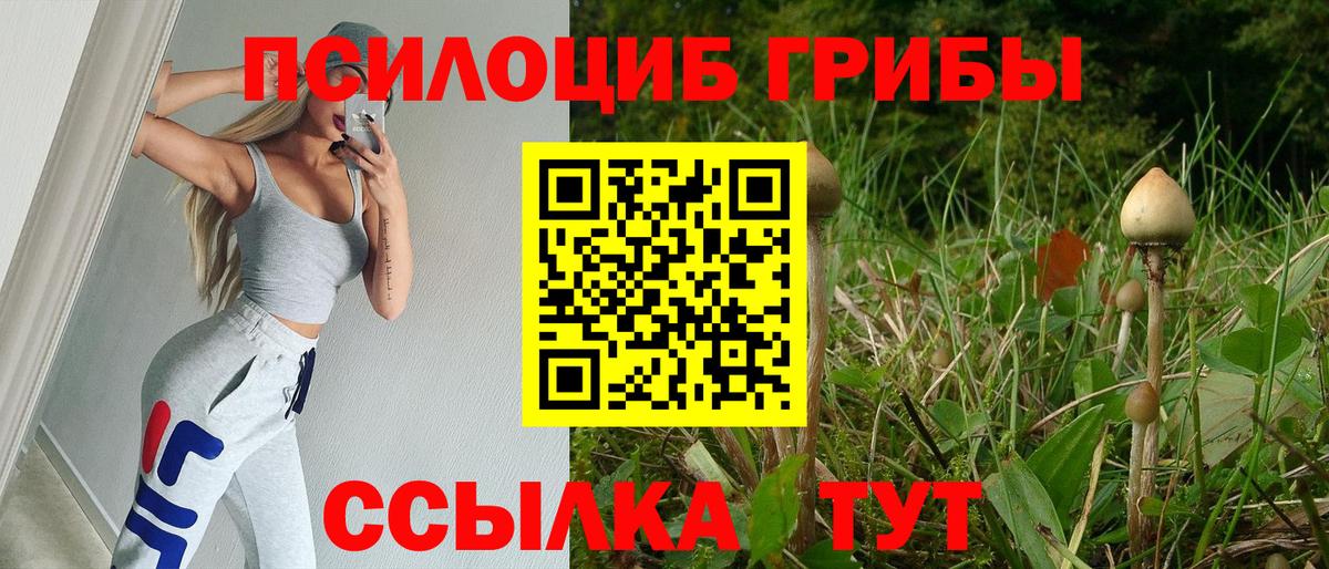 Псилоцибиновые грибы мухоморы Пугачёв