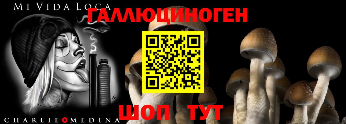 Меф Пугачёв