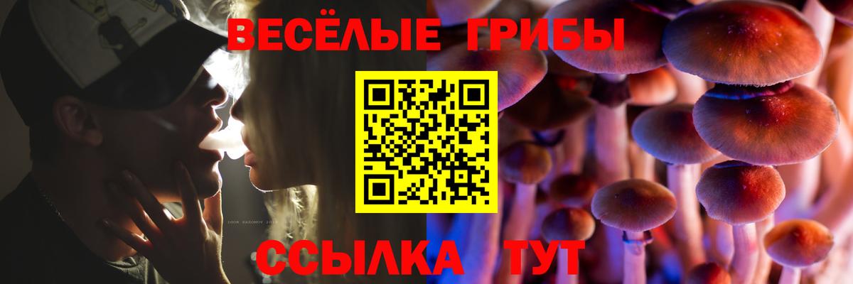 Пугачёв  Галлюциногенные грибы мицелий  Галлюциногенные грибы мухоморы  Вход с VPN 